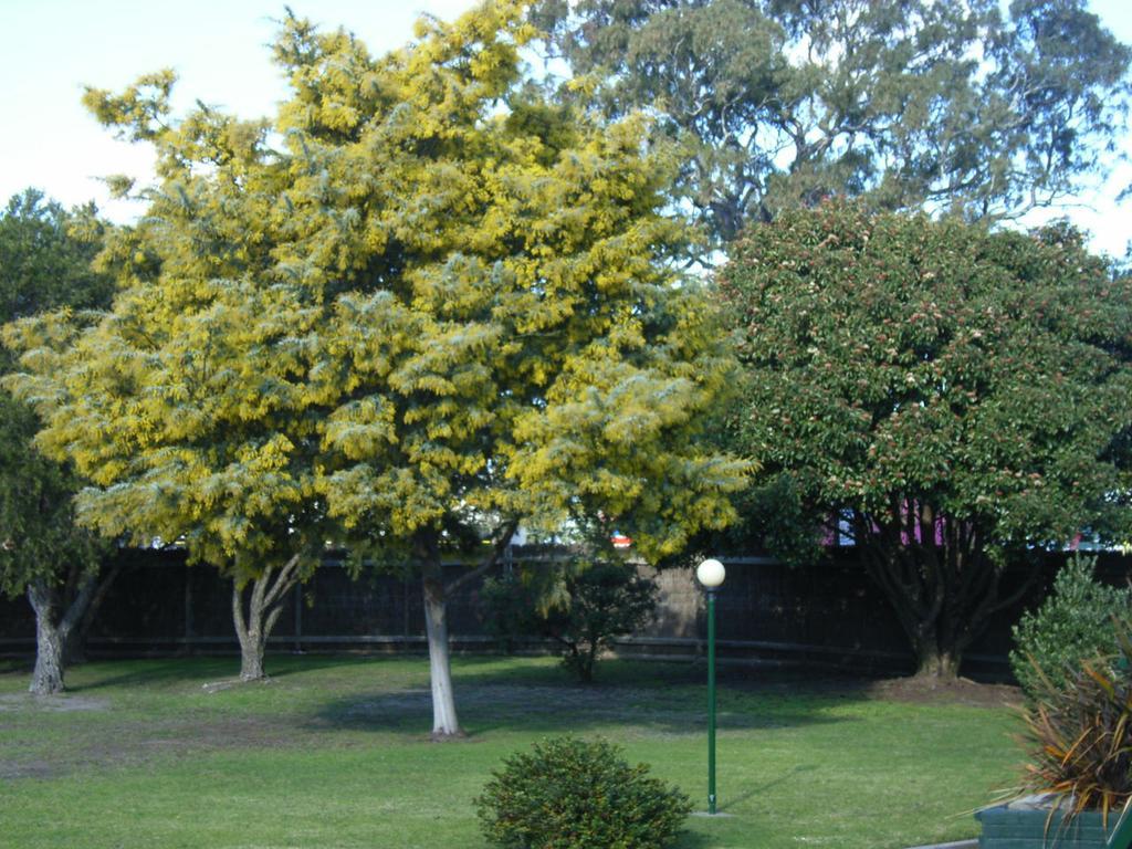 Bairnsdale Main Motel エクステリア 写真